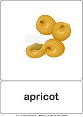 Bildkarte - apricot.pdf